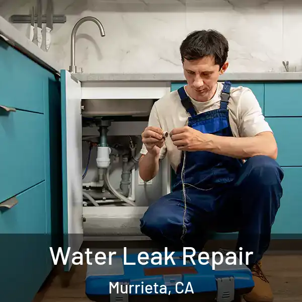  Water Leak Repair Murrieta, CA